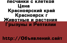 песчанки с клеткой › Цена ­ 1 000 - Красноярский край, Красноярск г. Животные и растения » Грызуны и Рептилии   